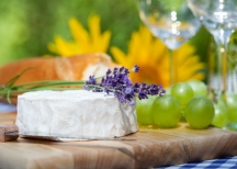 Paris - circuit autocar