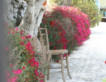 Paralia Katerini - Shopping in paradisul cumparaturilor - circuit autocar